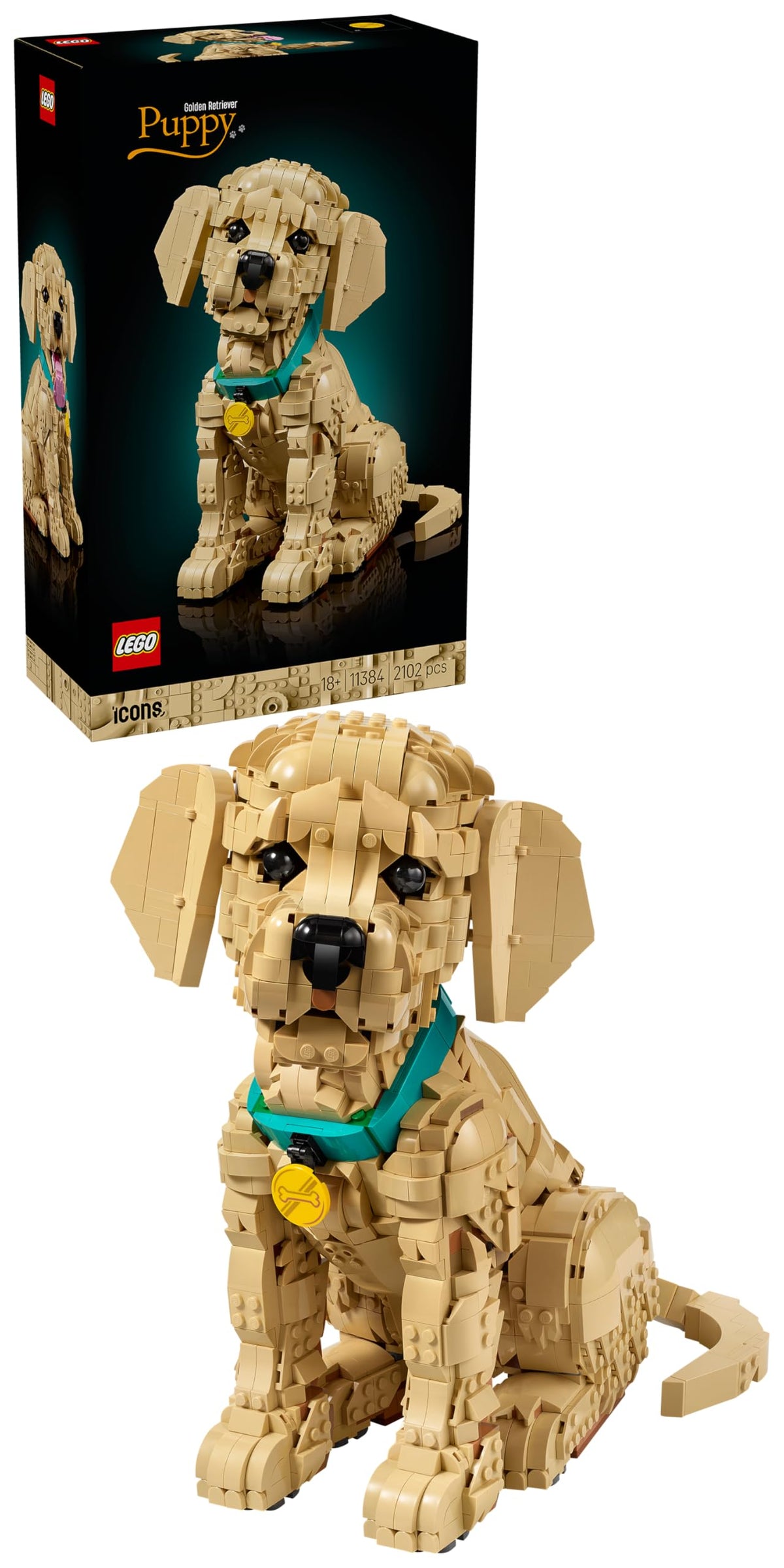 LEGO 11384 Icons Golden Retriever Puppy - 3D Animal Figure Display Model with Collar & Medallion
