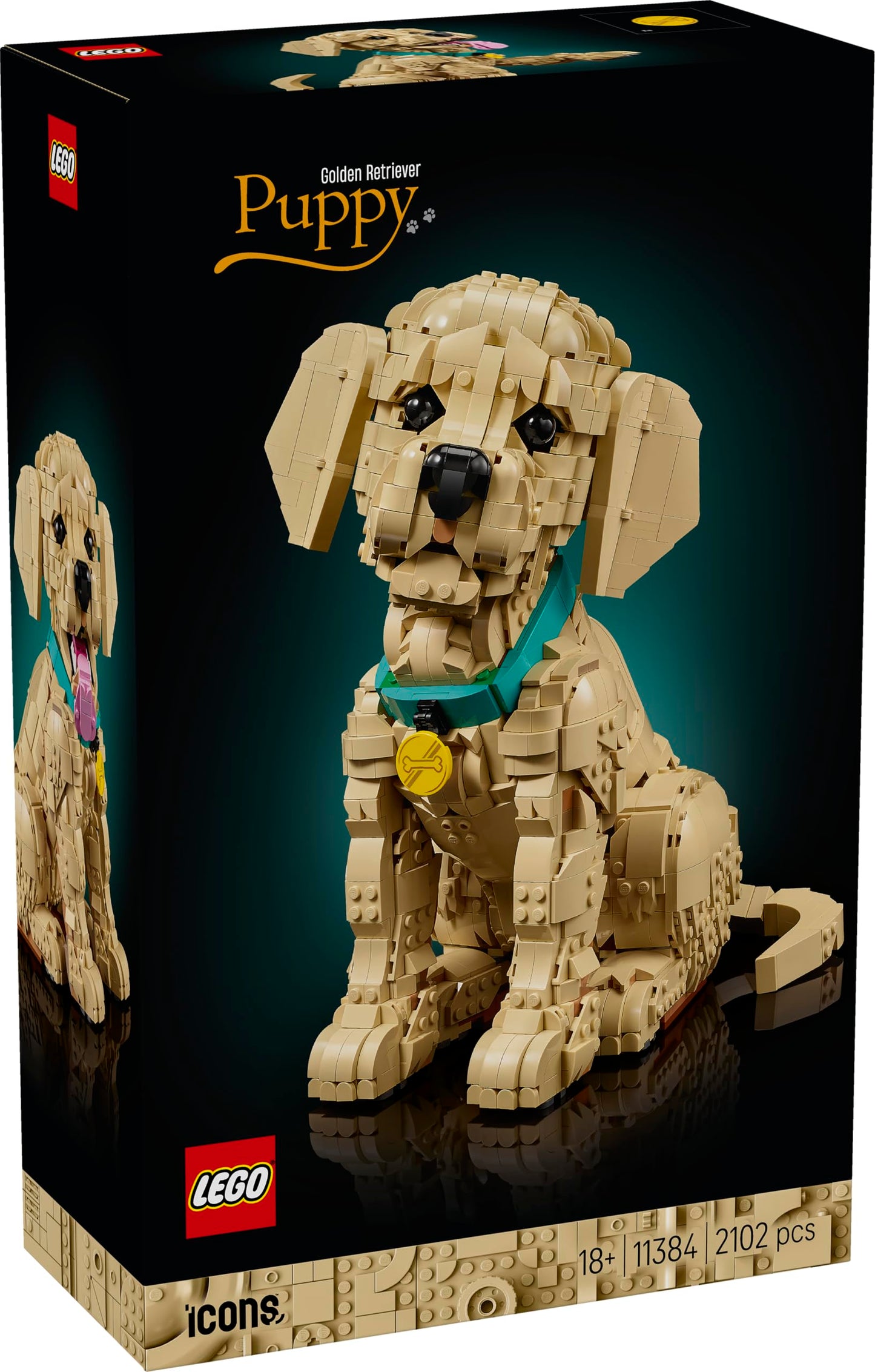 LEGO 11384 Icons Golden Retriever Puppy - 3D Animal Figure Display Model with Collar & Medallion