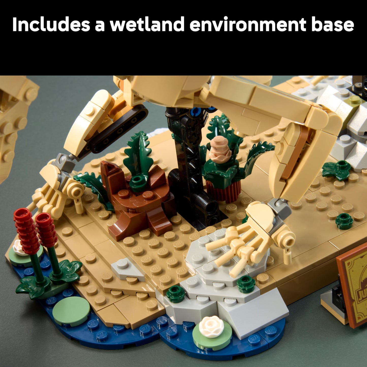 LEGO 77985 Jurassic World Dinosaur Fossils: Triceratops - Display Model Kit for Adults w/Dr. Gerry Harding Minifigure