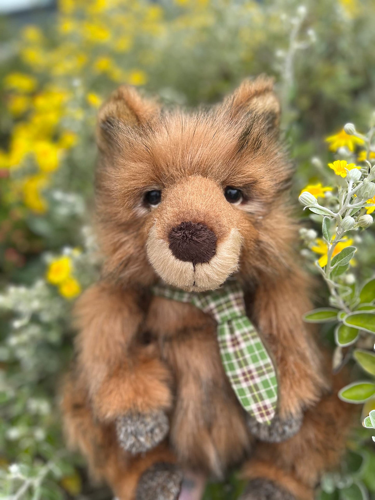 Charlie Bears - Melbourne | Quokka | 2022 Bearhouse Collection For Ages 18 Months + | Machine Washable – 14.5"