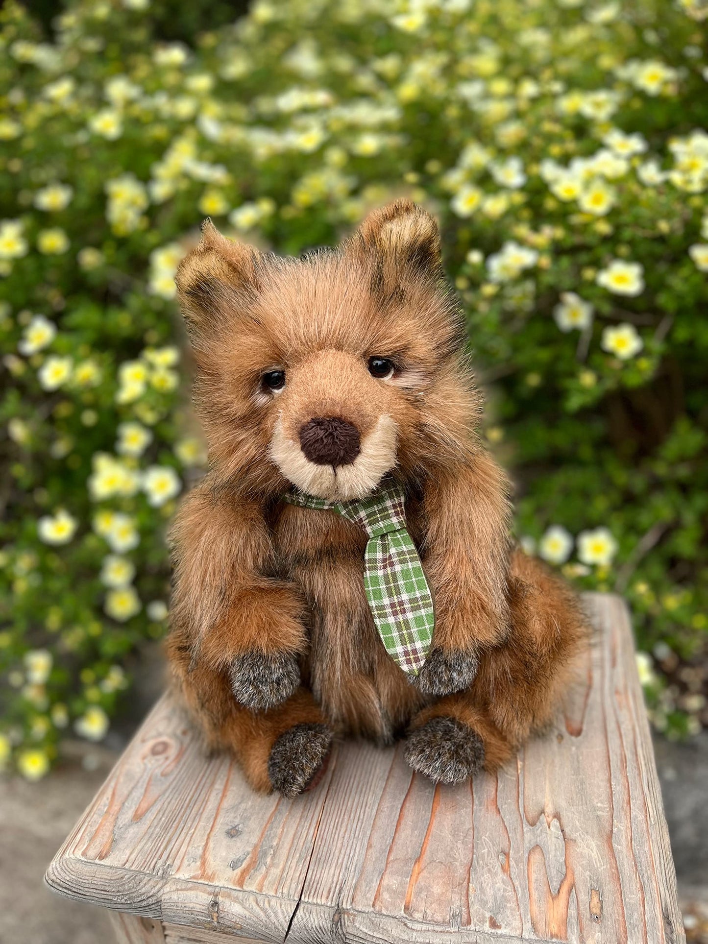 Charlie Bears - Melbourne | Quokka | 2022 Bearhouse Collection For Ages 18 Months + | Machine Washable – 14.5"